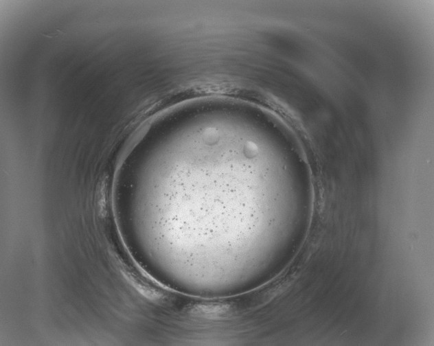 X0000080670065200612221127