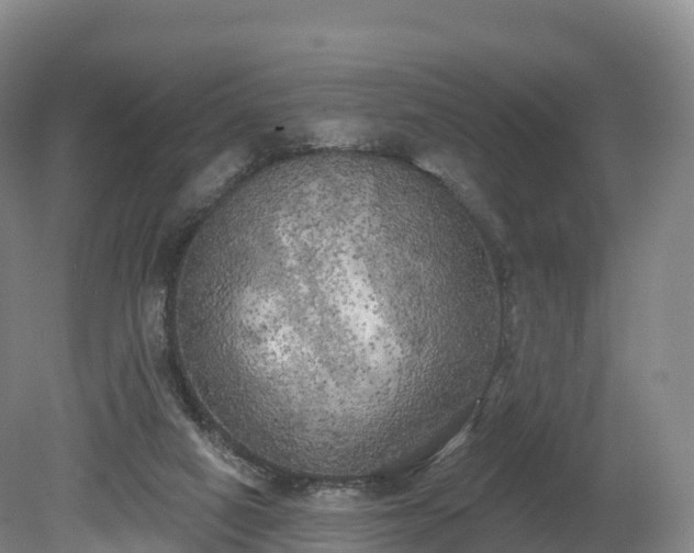 X0000080670066200612221127