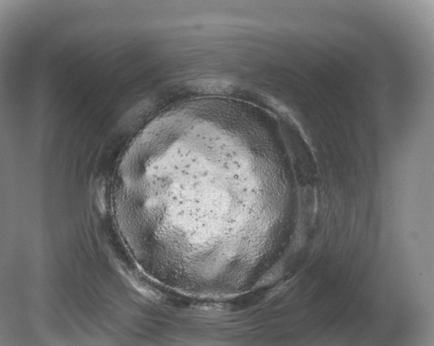 X0000080670069200612221127