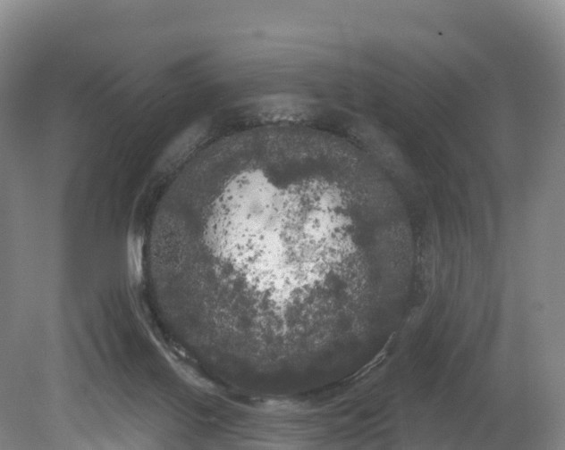 X0000080670070200612221127