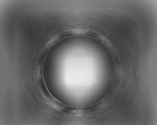 X0000080670071200612221127