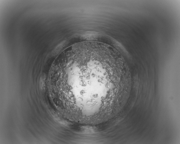 X0000080670073200612221128