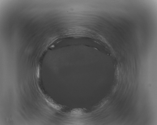 X0000080670076200612221128