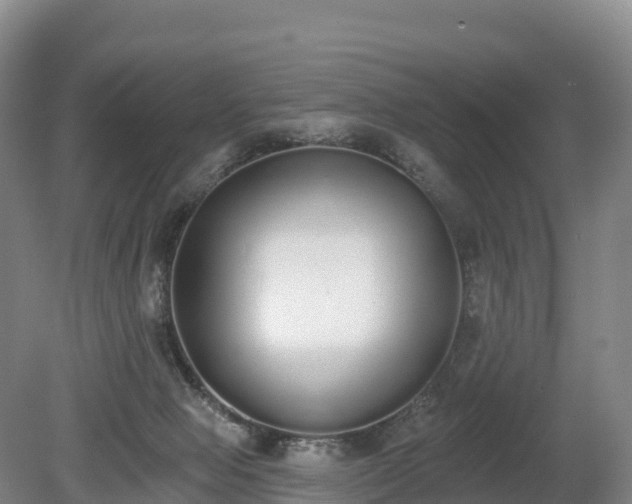 X0000080670077200612221128