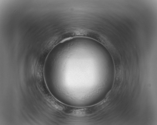 X0000080670078200612221128