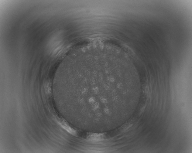 X0000080670081200612221128