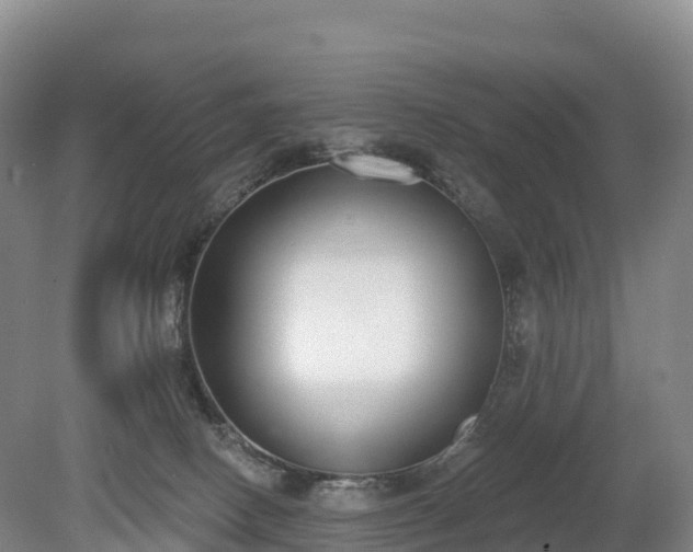 X0000080670082200612221128