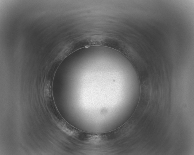 X0000080670083200612221128