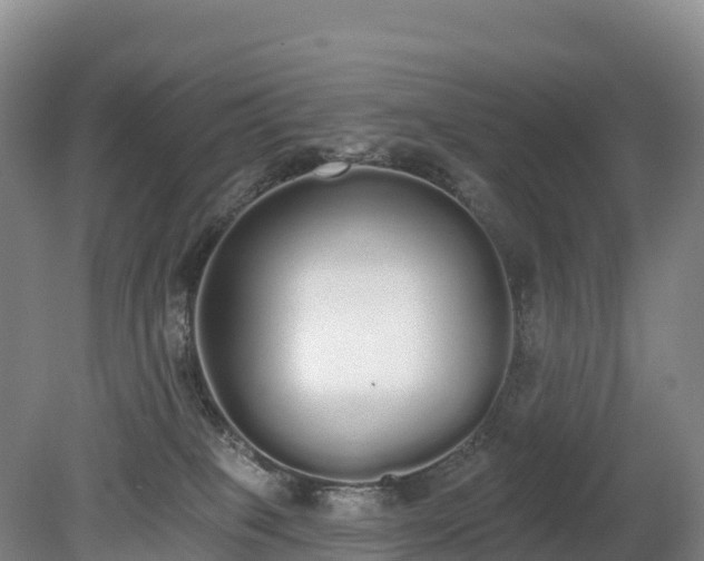 X0000080670085200612221128