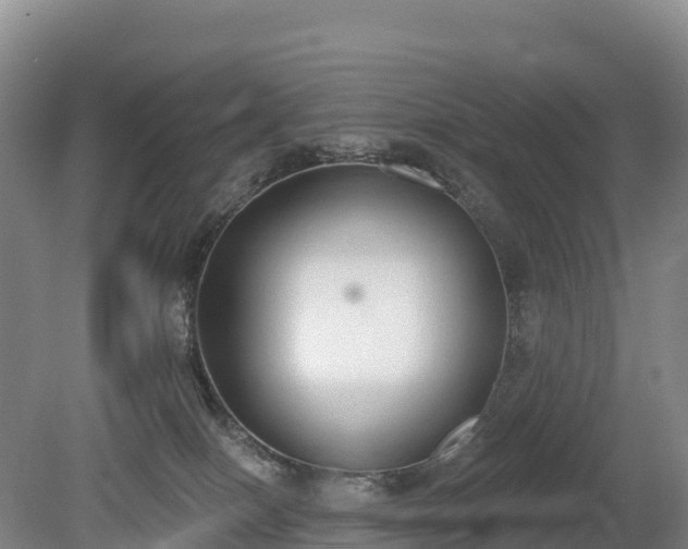 X0000080670086200612221128