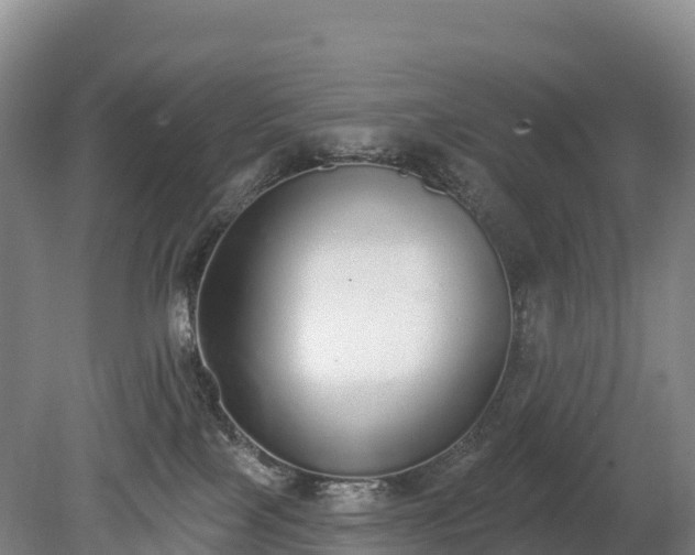 X0000080670089200612221128