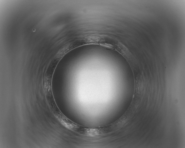 X0000080670091200612221128