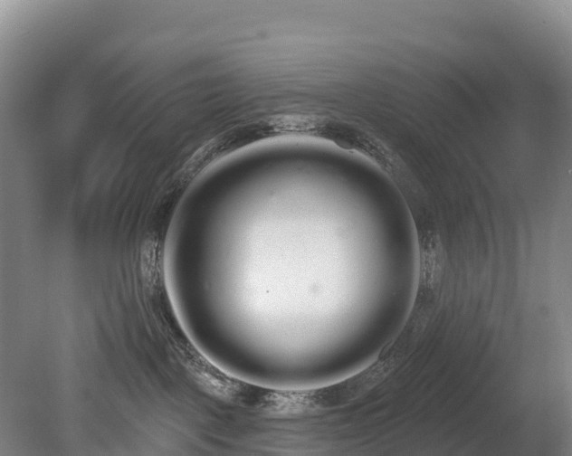 X0000080670093200612221128