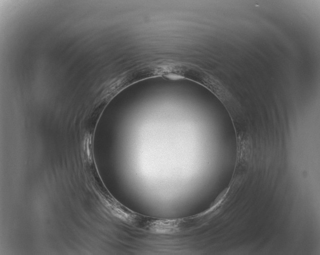 X0000080670094200612221128