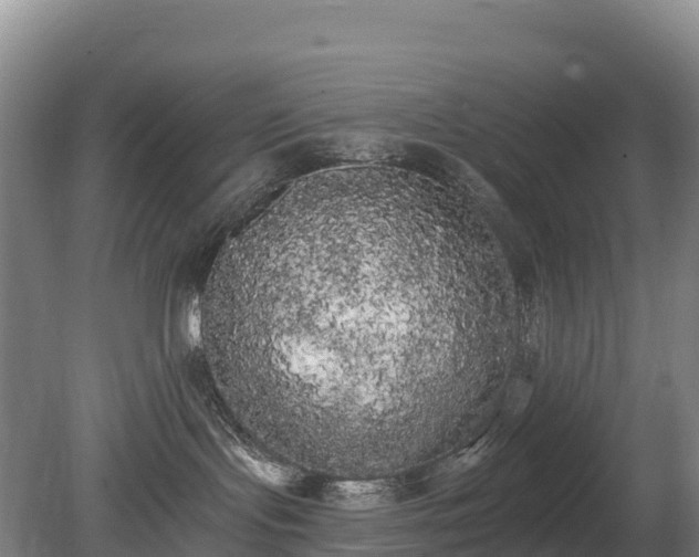 X0000080670095200612221128