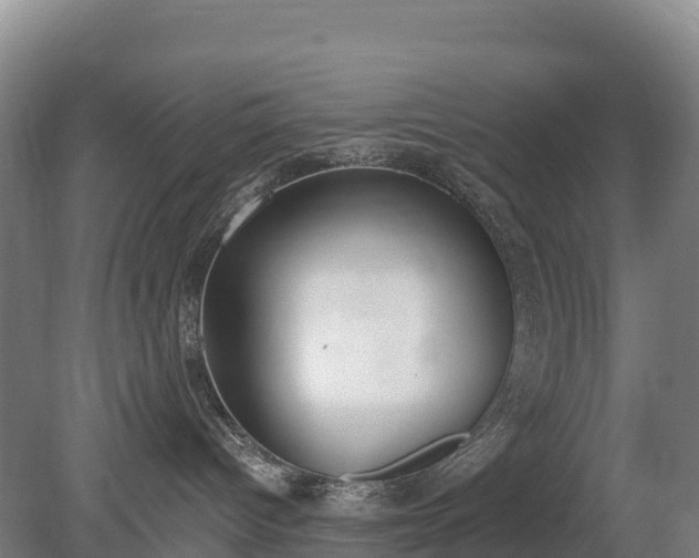 X0000080670096200612221128