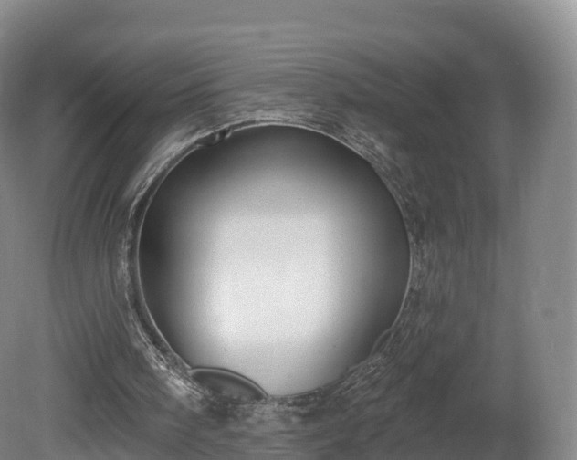 X0000080670098200612221127