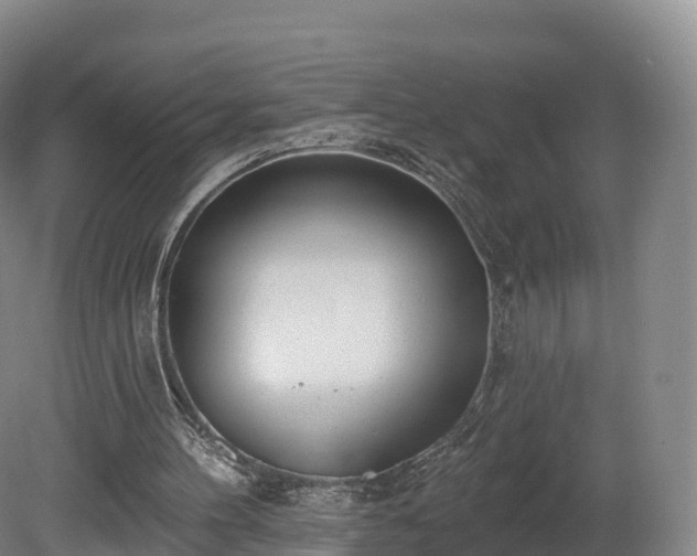 X0000080670100200612221127