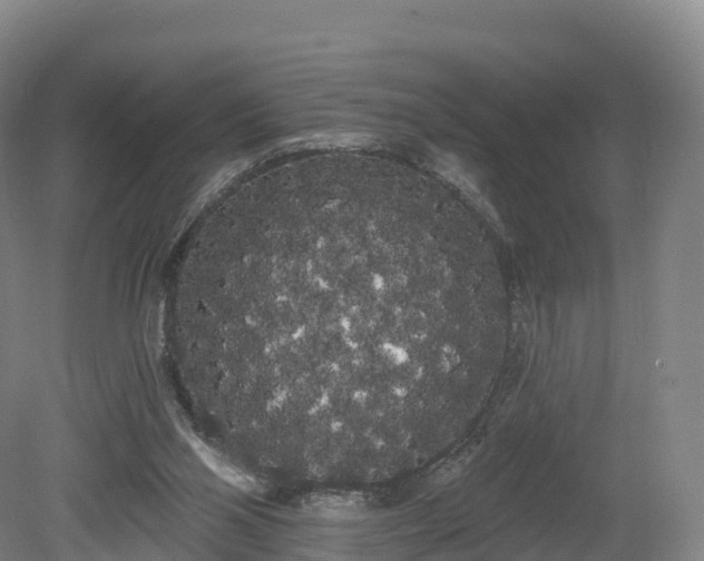 X0000080670110200612221127