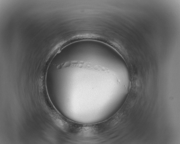 X0000080670111200612221127