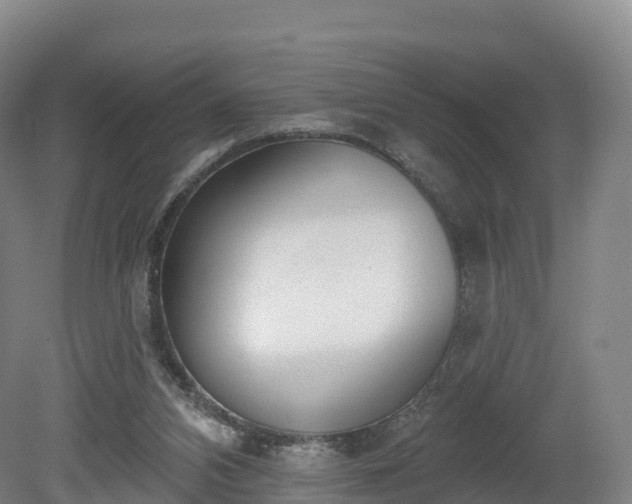 X0000080670112200612221127