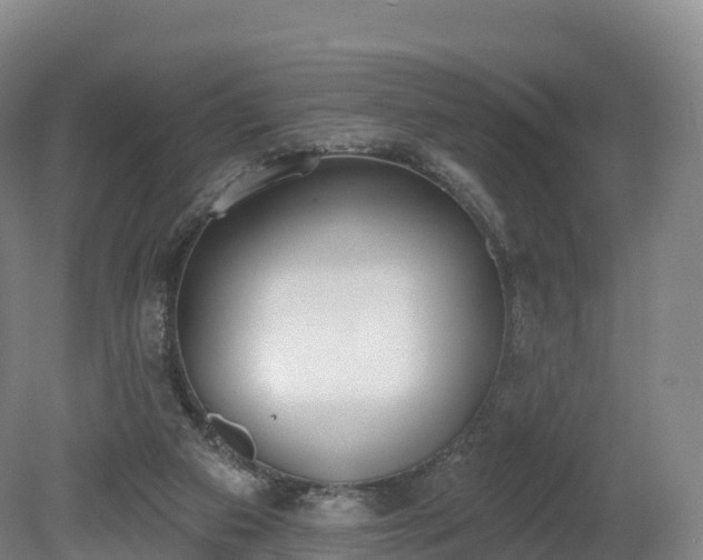 X0000080670113200612221127