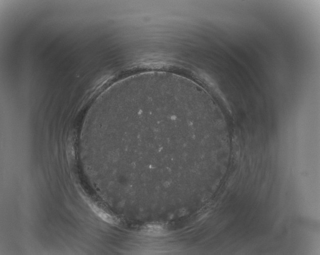 X0000080670114200612221127