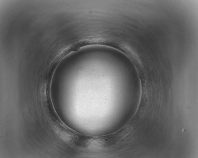 X0000080670115200612221127