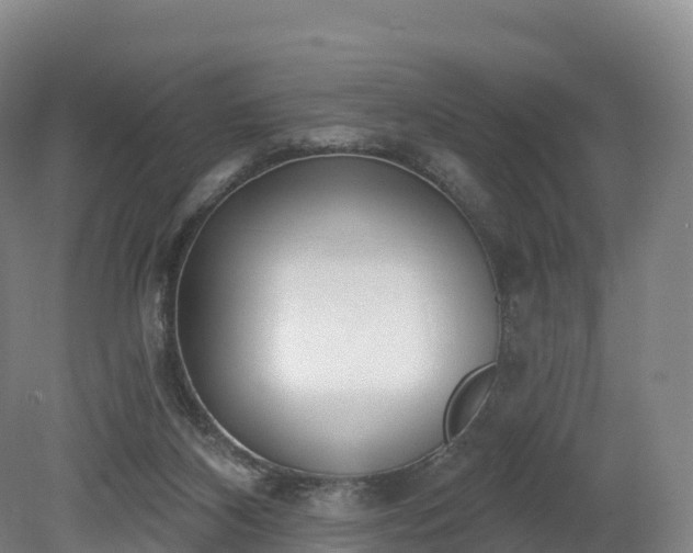 X0000080670116200612221127