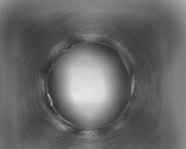 X0000080670117200612221127