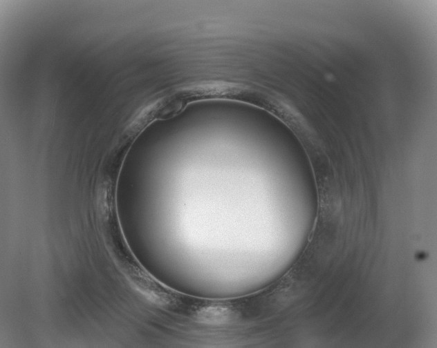 X0000080670119200612221127