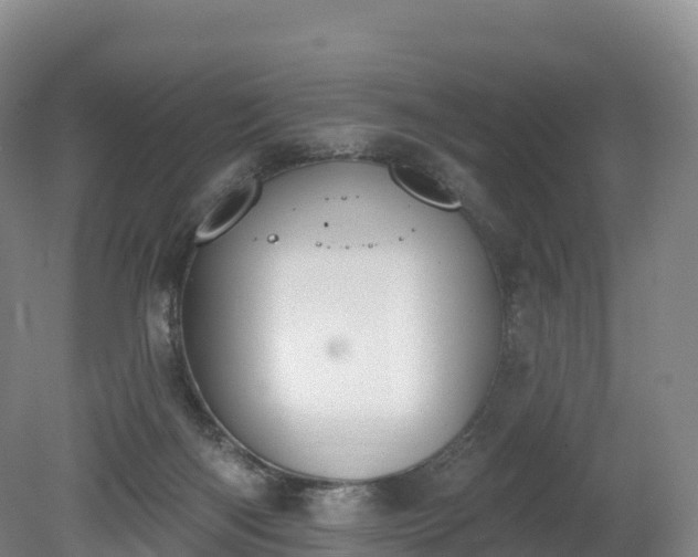 X0000080670122200612221127