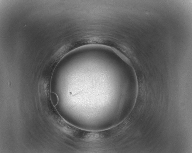 X0000080670123200612221127