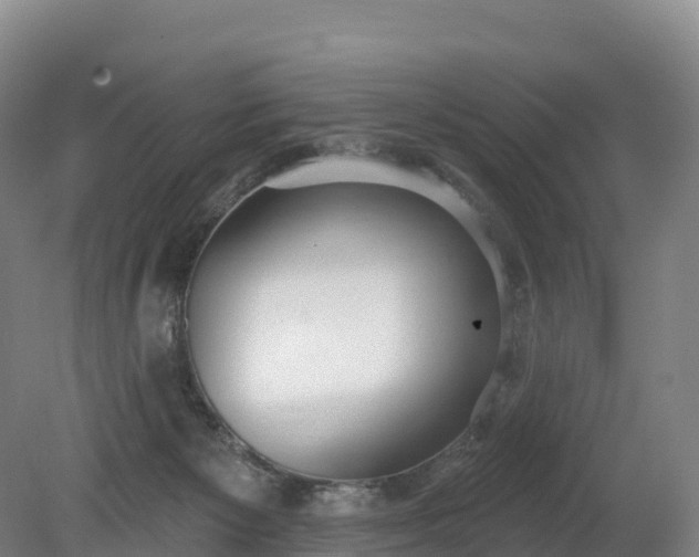 X0000080670125200612221127