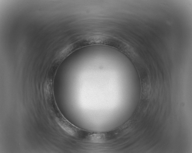 X0000080670126200612221127