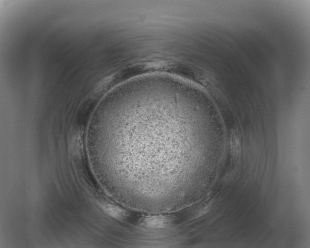 X0000080670127200612221127