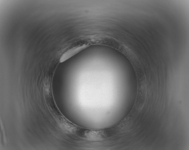 X0000080670129200612221127