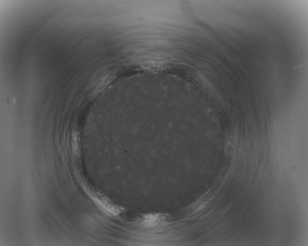 X0000080670130200612221127