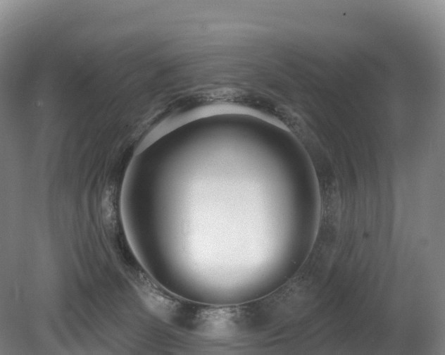 X0000080670131200612221127