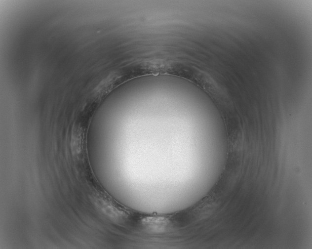 X0000080670133200612221127