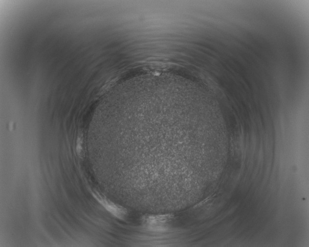 X0000080670134200612221126