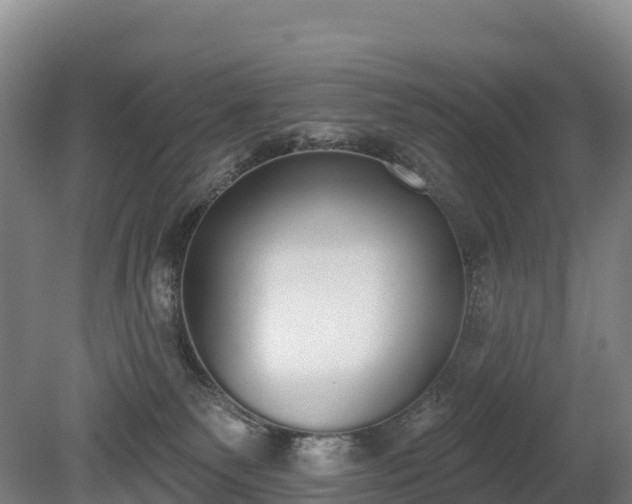 X0000080670135200612221126