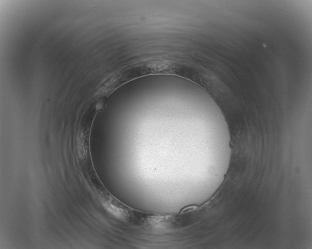 X0000080670136200612221126