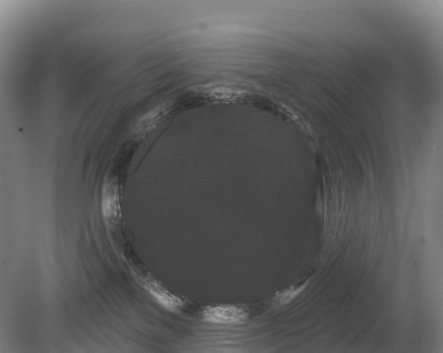 X0000080670137200612221126