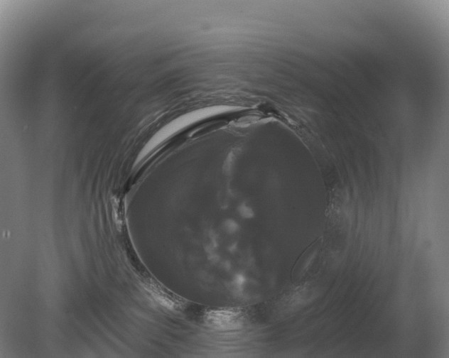 X0000080670139200612221126