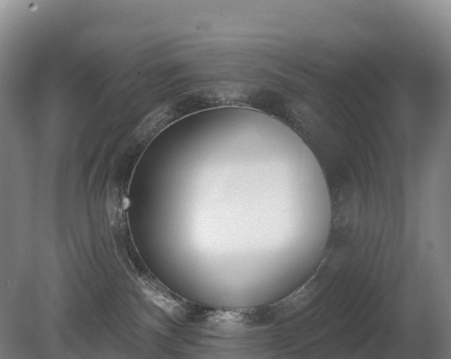 X0000080670140200612221126