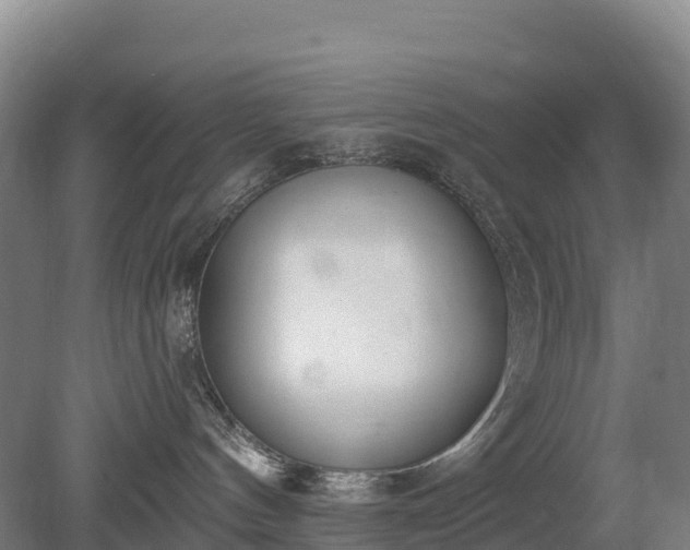 X0000080670144200612221126