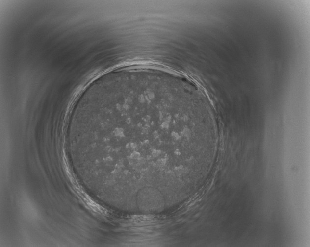 X0000080670145200612221126