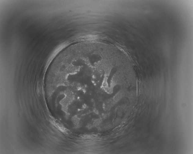 X0000080670147200612221126