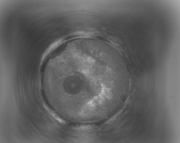 X0000080670149200612221126